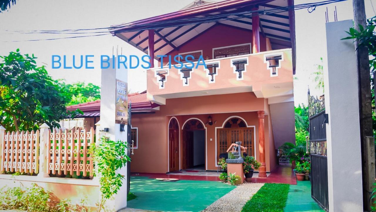 Отель Blue Birds Tissa & Yala Safari Тиссамахарама Экстерьер фото