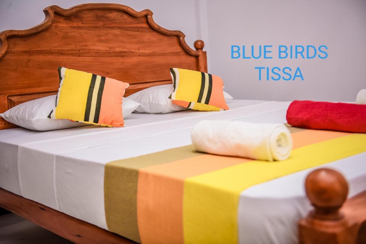 Отель Blue Birds Tissa & Yala Safari Тиссамахарама Экстерьер фото